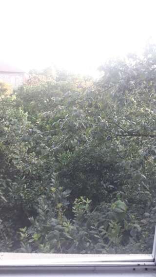 Гостевой дом Otos House Батуми-3